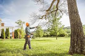 Best Organic Lawn Care Solutions  in Rockwood, VA