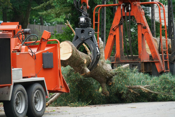 Best Aeration Services  in Rockwood, VA